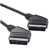 SCART Stecker